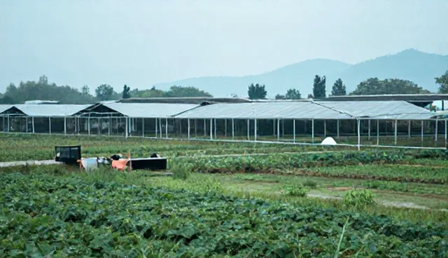 技术对比中如何避免误区?策划产品性能与适用条件分析